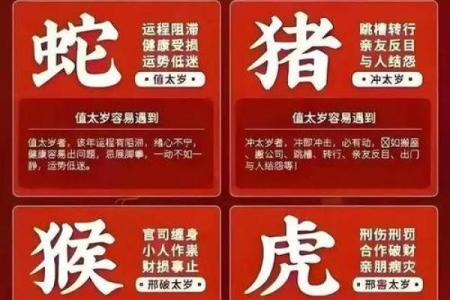 兔年十月出生之人的命运解读与人生导航