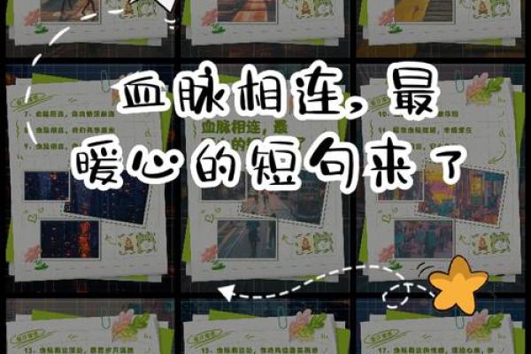 相依为命：生命中的温暖与陪伴，妙不可言的情感交流