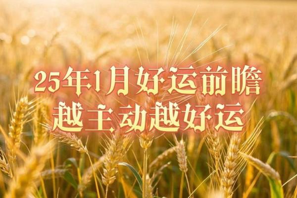 五月出生的人命运解析：好运与潜力的结合
