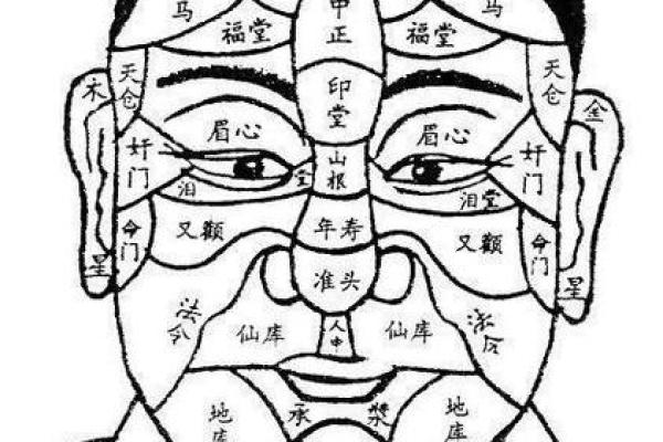 五官五行：揭秘面相与命运的神秘关联
