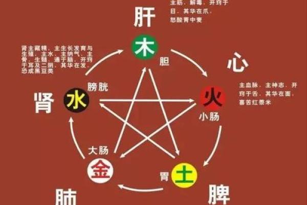 五官五行：揭秘面相与命运的神秘关联