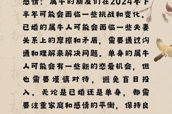探秘生肖牛的孩子：他们的命理特征与未来方向