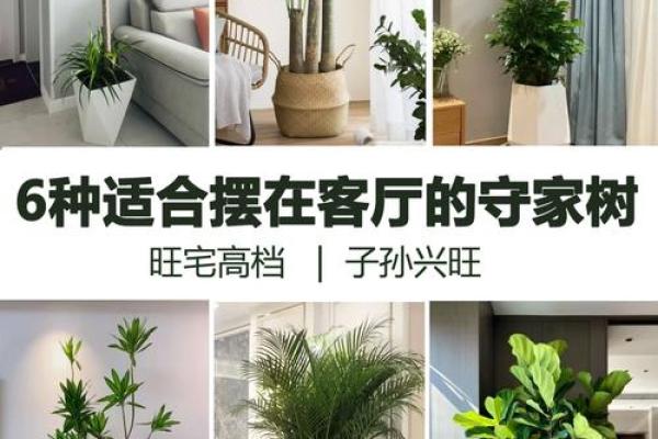 土命人门口摆件指南：吸引好运与保护家宅的完美之选