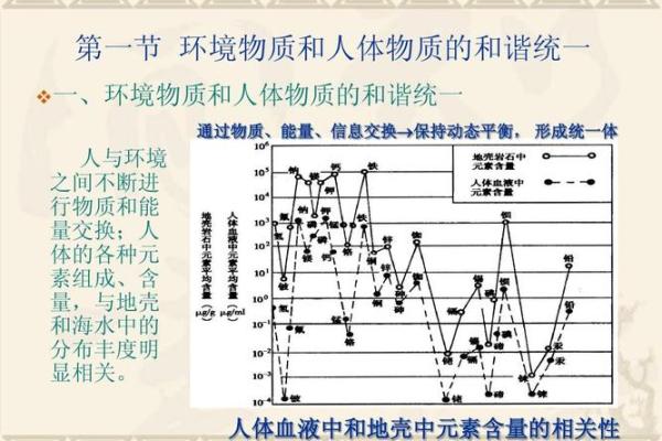 水属性命理中的缺失与补救：寻找内心的平衡与和谐