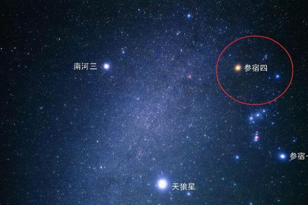 太阳星在命理中代表的亲戚关系和影响解析
