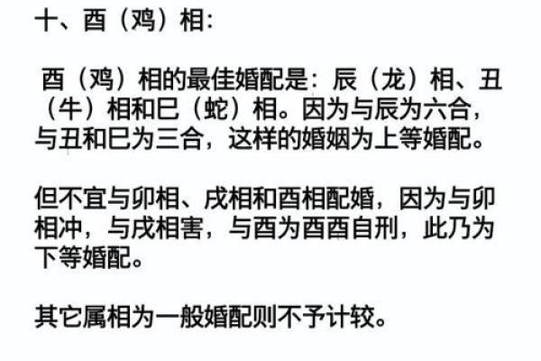 水命女人与其最佳命格的完美搭配指南