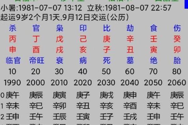 探秘女命地支中的劫财：解析其象征与影响