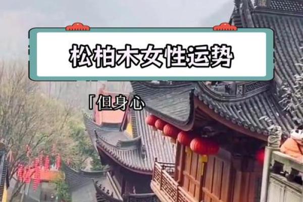 松柏木命的人应避免哪些命理搭配？深度解析！