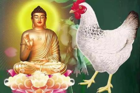 四十二岁属鸡男子命理解析：逆风翻盘与人生智慧的追寻