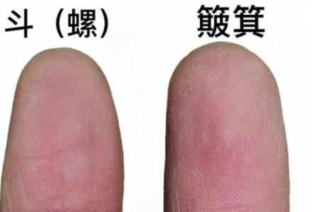 探讨“一斗八簸箕”命理的奥秘与生活启示