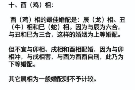 水命女人与其最佳命格的完美搭配指南