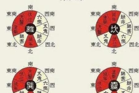 探寻命理奥秘:离命与东四命的深刻解析