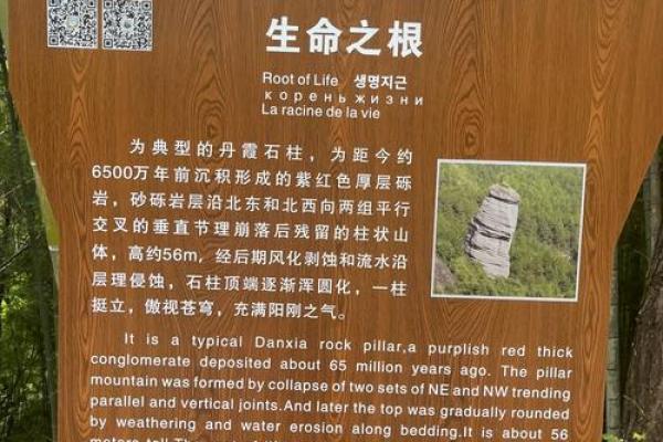 探秘学命理学：揭开生命背后的神秘面纱
