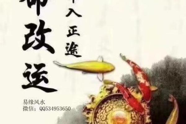 算命命源解析：你是否知道命运背后的奥秘？