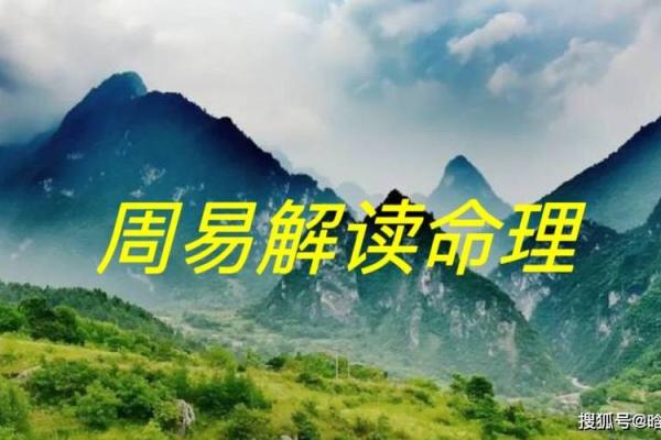 水煮之命：探索命理与人生的深层连接