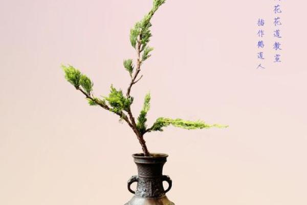 寺院里的松柏木命：坚韧与灵性的象征