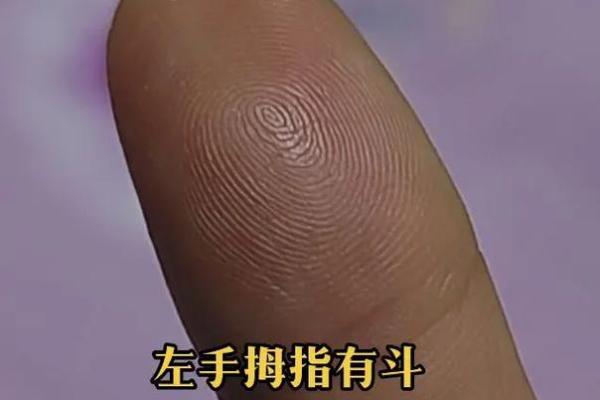 通过手纹解读命运：探寻十个簸箕的奥秘与人生启示