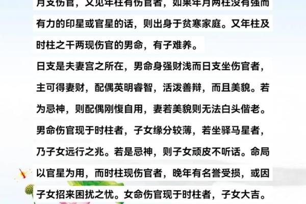 探秘八字命理：商官命与其他命的奥秘与人生智慧
