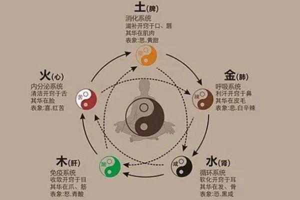 探索十一点五行命理的奥秘与智慧