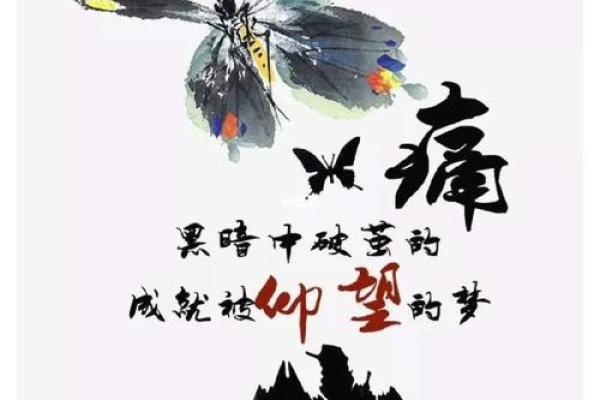 她的命，三次重生：一首歌的深刻寓意与女性力量