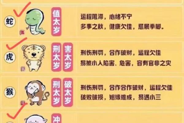 辛亥男命解析：个性特征与人生运势的深刻探索