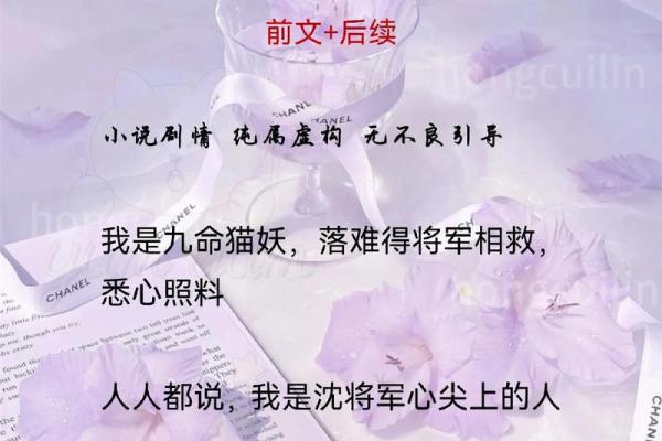 探秘“猫”的传说：九条命的寓意与故事