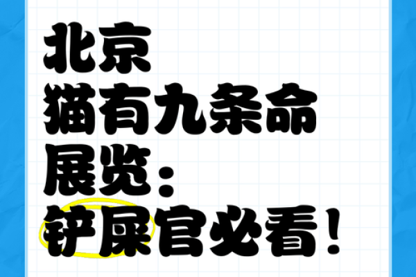 为什么说猫有九条命？解密这个神秘说法的背后故事和科学依据！
