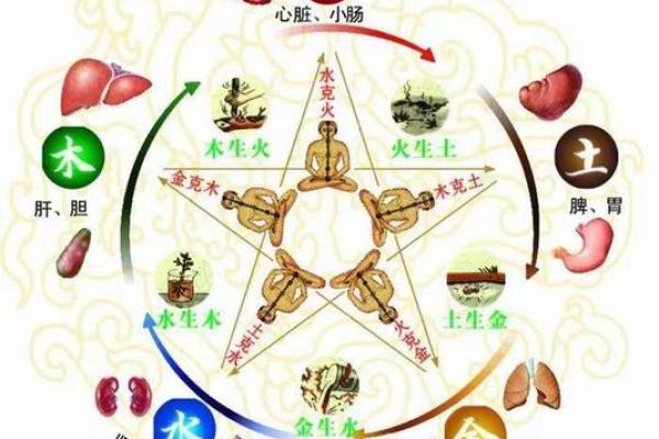 探索五行中木命的神秘与魅力：生命、成长与和谐