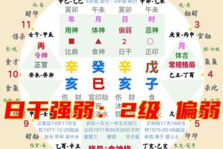 探索阳历三月初八的命理:揭示你的性格、运势与人生道路