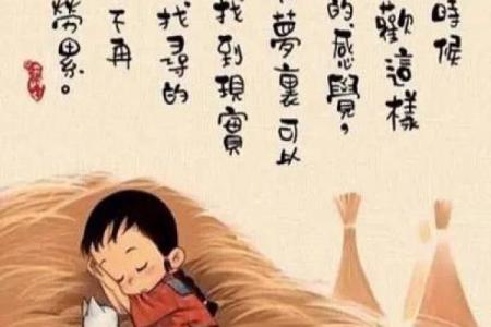 探寻半子之命:人生的另一种选择与意义