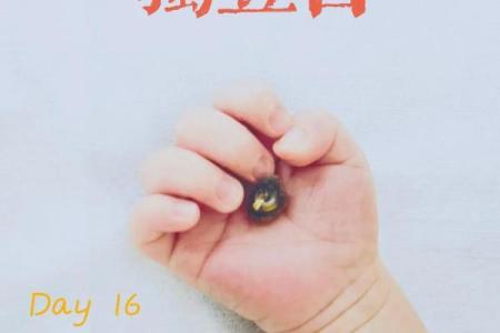 探秘阳历十月初六出生者命理:如何解读与生活指导