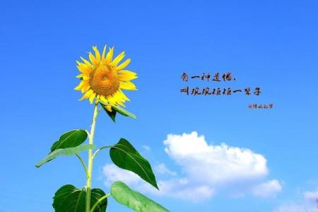 一辈子什么命注定好?全面解析命运与个人努力的关系