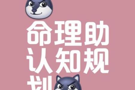 探寻命理之谜:八字背后的命运密码与人生轨迹