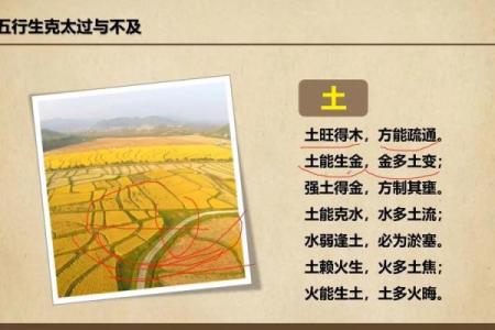 五行中的土命与颜色的深刻联系:解开土的秘密与启示