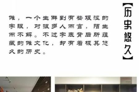 探秘网络命天女:现代神秘文化的象征与意义