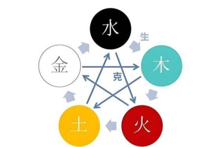 屋顶上的土命：探索中国传统命理与生活智慧