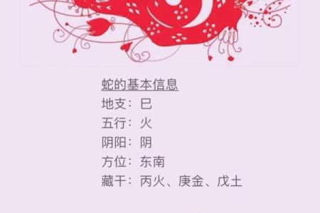 下午六点多出生的蛇:命运与性格解析,揭示神秘人生的一面