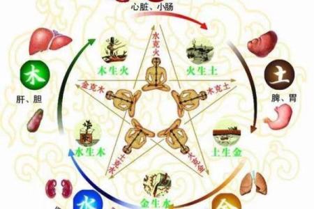 探索五行中木命的神秘与魅力:生命、成长与和谐