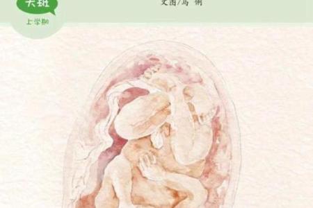 拥有九条命的男人:一场生命的奇妙体验与感悟