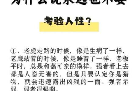 以命换命：探讨生死之间的深刻哲学与人性考验