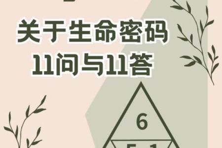 算命揭秘：透视命运之窗，了解你的生命密码！