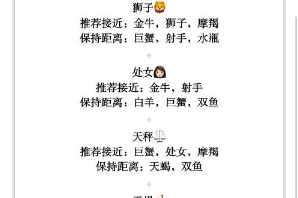 星座与命运：如何找到属于你的最佳星座搭配