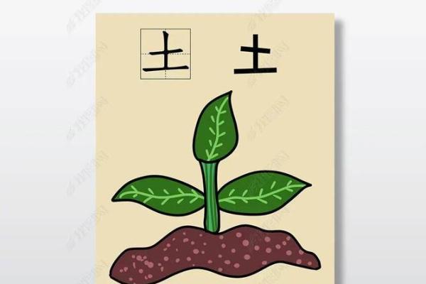 探究兔年出生者的木命：为何不宜与木元素相克？