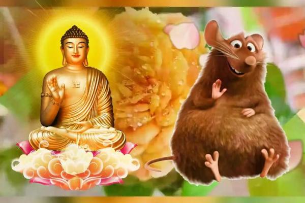 一九九四年男鼠的命运解析：智慧与机遇的完美结合