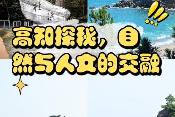 阳光与生命的交融：太阳火命与木命的和谐结合