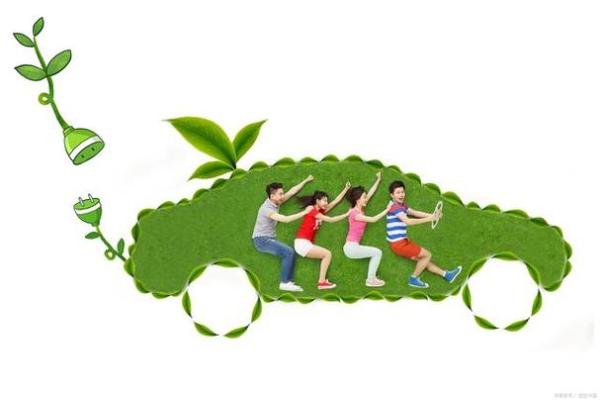 阳光与生命的交融：太阳火命与木命的和谐结合