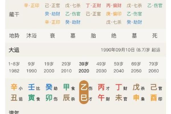 探寻辛酉日出生女性的食神，揭示命理中的独特魅力与智慧