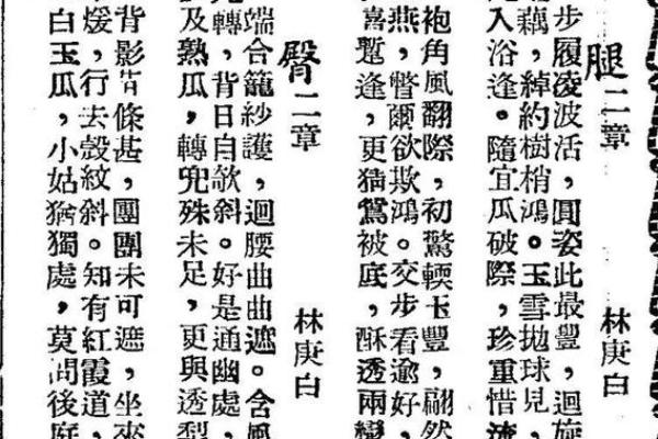 算命说王八命，生命与命运的哲学探讨
