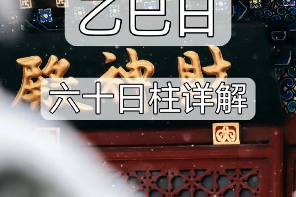 探秘乙巳日女命：命理背后的情感与事业之路