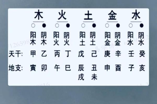 阴历十八号命理解析：五行之道与人生运势的奥秘